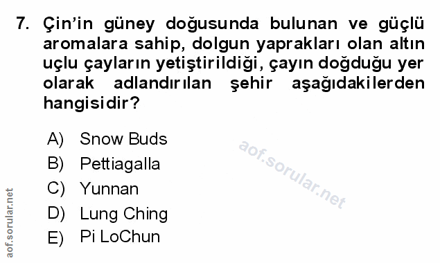Soru 7