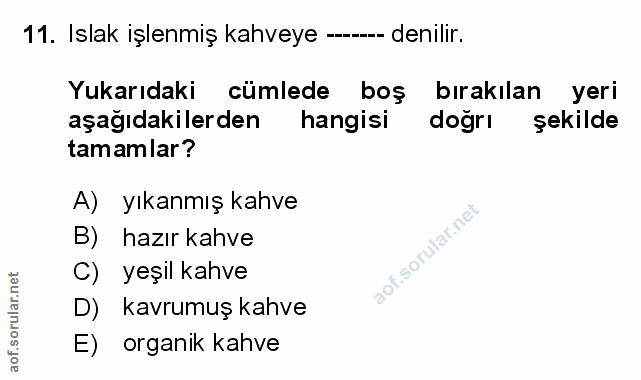 Soru 11