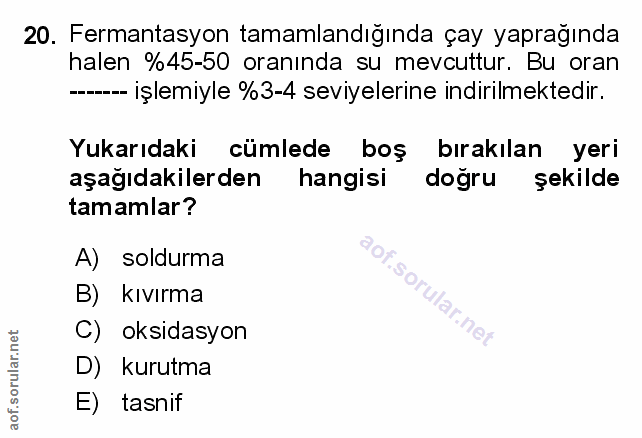 Soru 20
