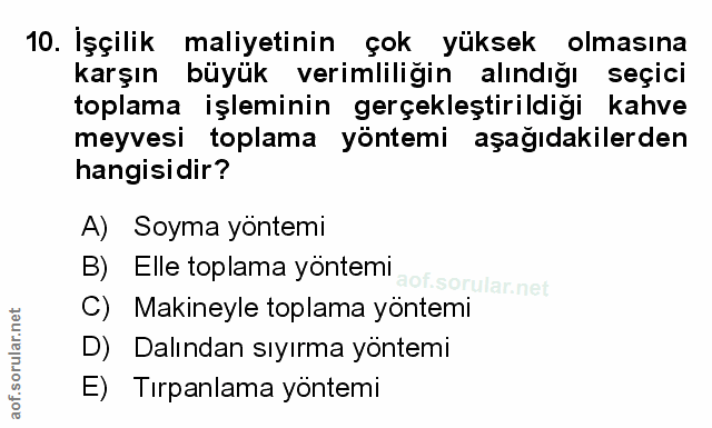Soru 10