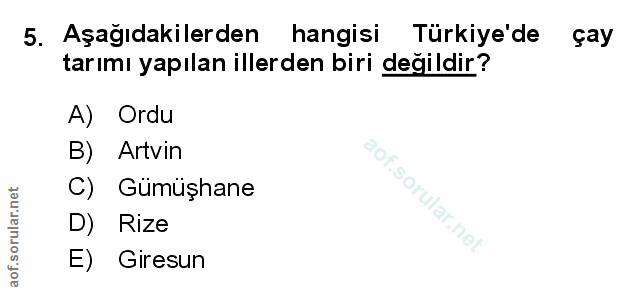 Soru 5