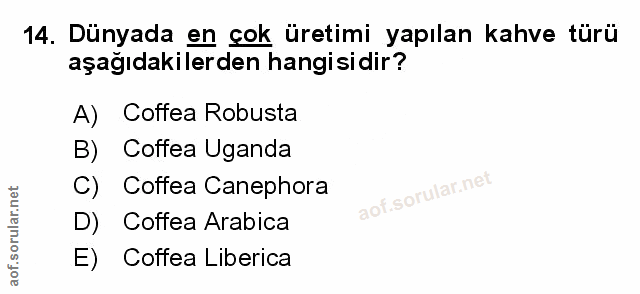 Soru 14