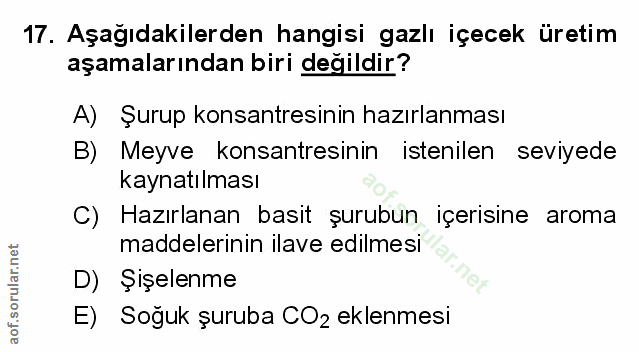 Soru 17