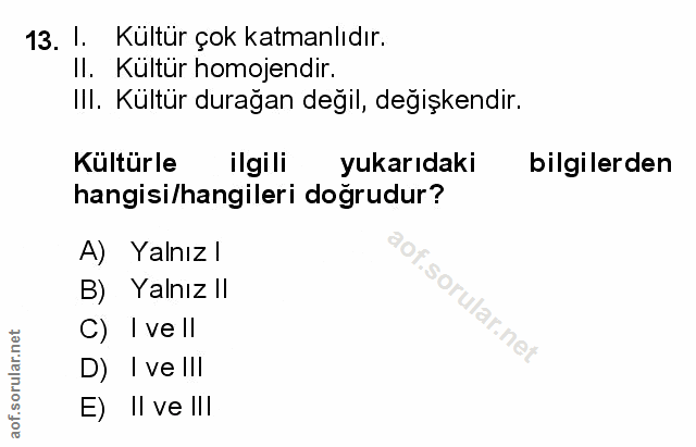 Soru 13