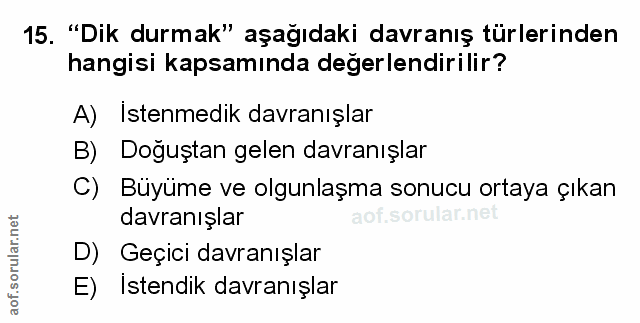 Soru 15
