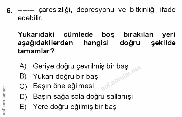Soru 6