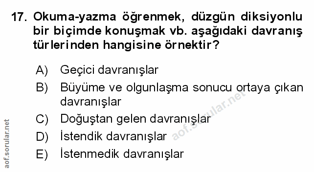 Soru 17