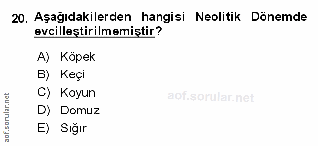 Soru 20