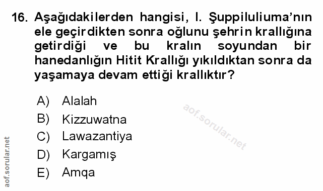 Soru 16