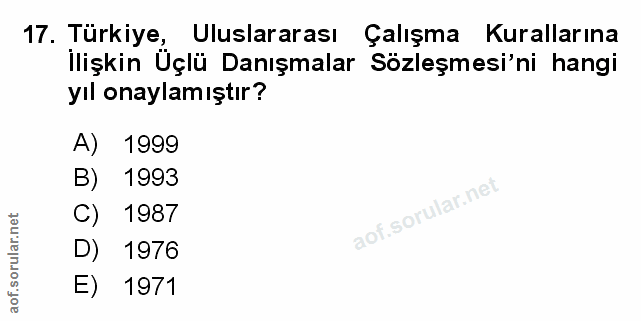 Soru 17