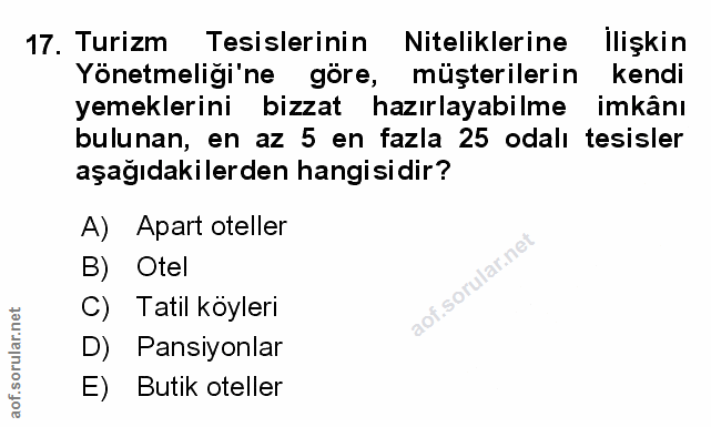 Soru 17