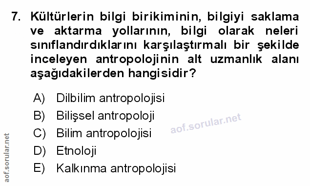 Soru 7