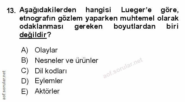 Soru 13