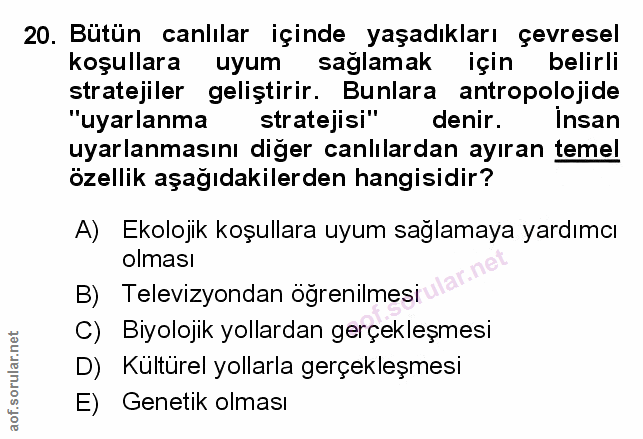 Soru 20