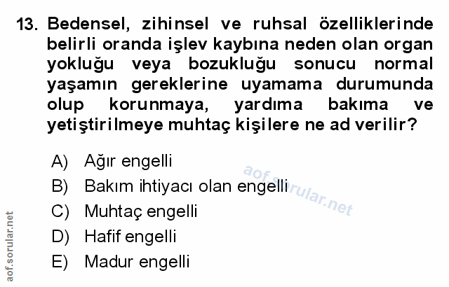 Soru 13