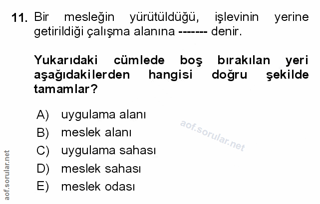 Soru 11