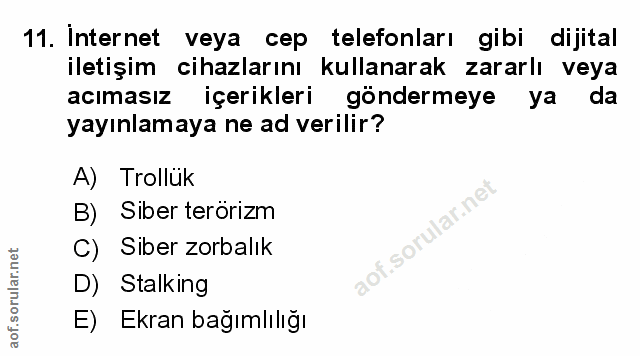 Soru 11