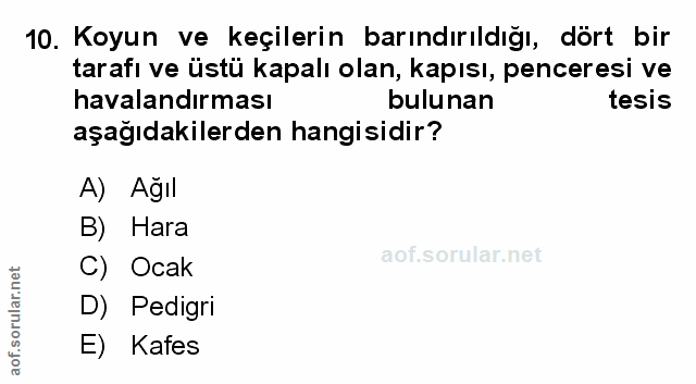 Soru 10