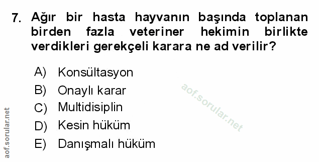 Soru 7