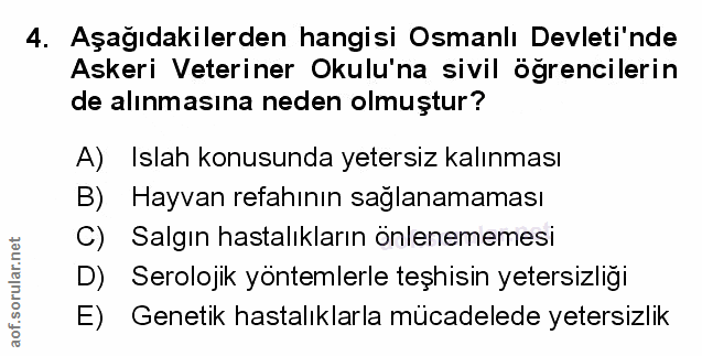 Soru 4