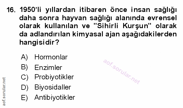 Soru 16
