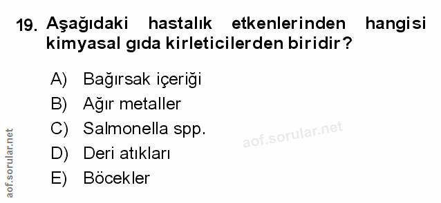 Soru 19