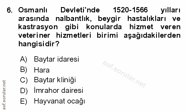 Soru 6