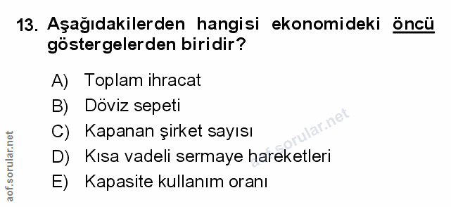 Soru 13