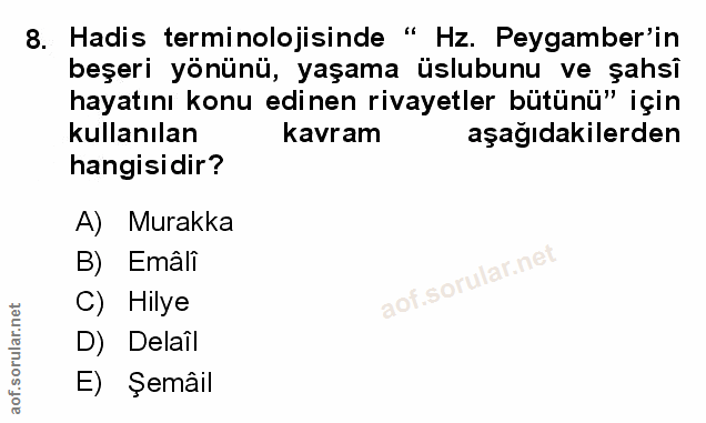 Soru 8