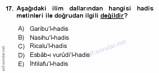 Soru 17