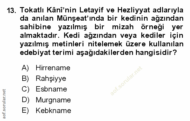 Soru 13