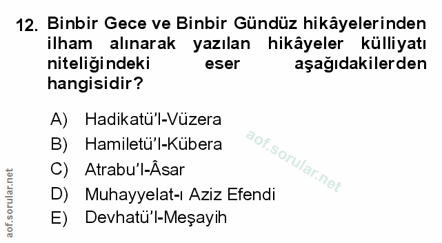 Soru 12