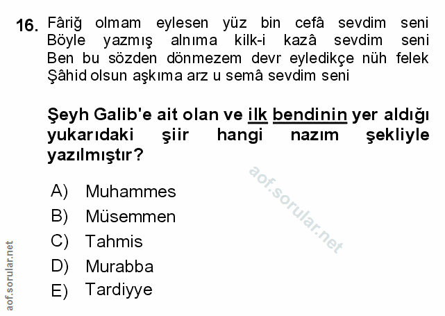 Soru 16