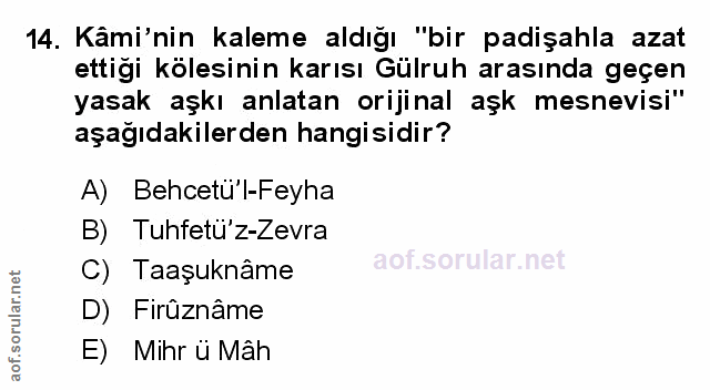 Soru 14