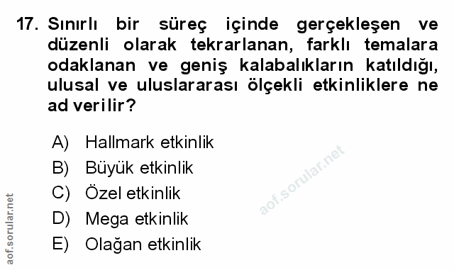 Soru 17