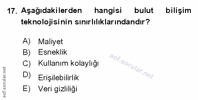 Soru 17