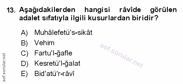 Soru 13