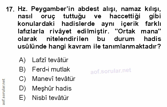 Soru 17