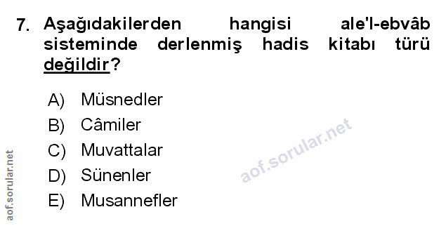 Soru 7