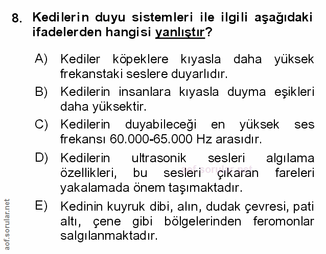 Soru 8
