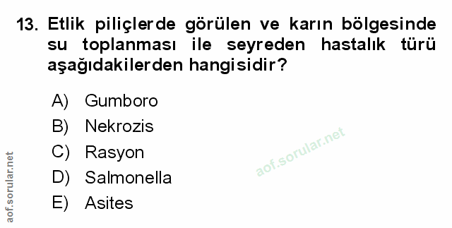 Soru 13