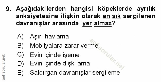 Soru 9