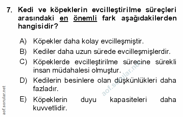 Soru 7