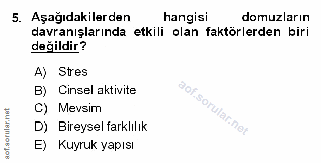 Soru 5
