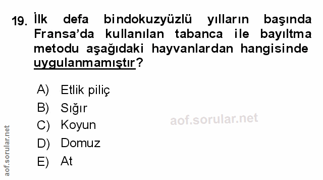 Soru 19