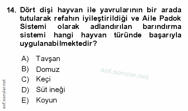 Soru 14