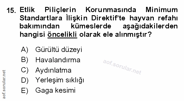 Soru 15