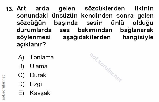 Soru 13