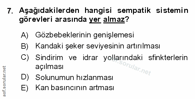 Soru 7