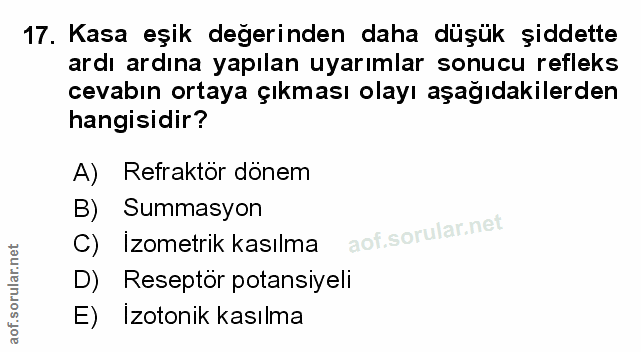 Soru 17